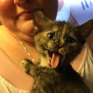 Meet your Posher, Linda